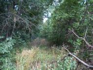 Леніна Друге з panoramio.com