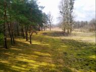 Дашів з panoramio.com - Dashiv