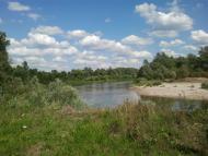 Лисогубівка з panoramio.com