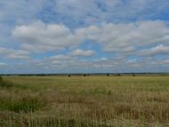 Турійськ з panoramio.com - Турийск