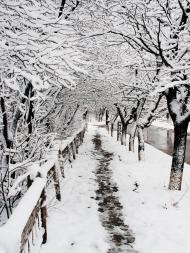 Ізварине - Останні фото