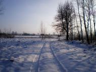 Веснянка з panoramio.com