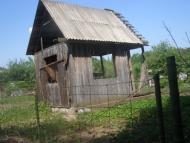 Зибин з panoramio.com