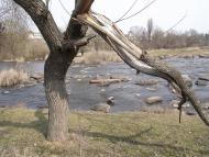 Городище-Пустоварівське з panoramio.com