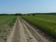 Сніжки з panoramio.com