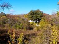 Данилове з panoramio.com