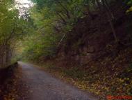 Скоморохи з panoramio.com