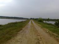 Березина - Останні фото