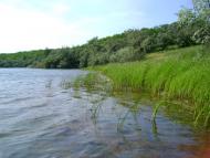 Балахівка з panoramio.com
