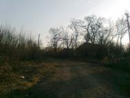 Миколаївські Сади з panoramio.com