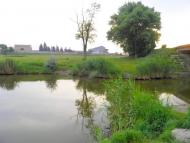 Павлівка з panoramio.com
