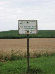 Ямпіль - Останні фото