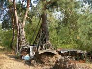 Революційне з panoramio.com