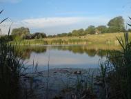 Верхньокам'янка з panoramio.com