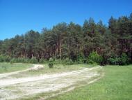 Мала Снітинка з panoramio.com