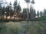 Бугаївка з panoramio.com