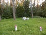 Вільне з panoramio.com