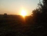 природа села