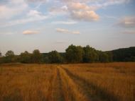 Залиман з panoramio.com