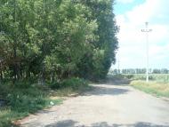 Великі Трояни з panoramio.com