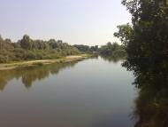 Лисогубівка з panoramio.com