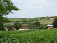 Пуків з panoramio.com