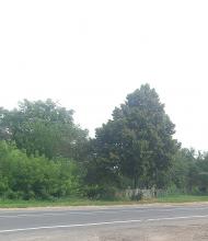 Воля-Любитівська з panoramio.com