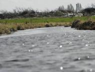 Новооріхівка з panoramio.com