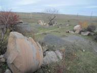 Оріхове з panoramio.com