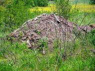 Оконськ з panoramio.com