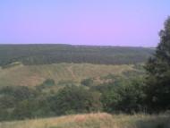 Золотогірка з panoramio.com