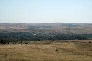Велика Мартинівка з panoramio.com