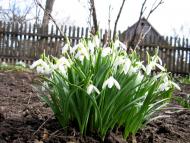 Іванопіль з panoramio.com