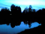 Комарове з panoramio.com