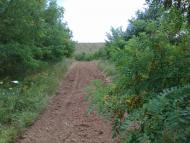 Красний Партизан з panoramio.com