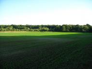 Бужок з panoramio.com