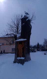 Глибока з panoramio.com