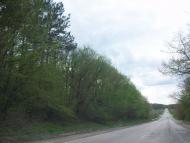 Холодівка з panoramio.com