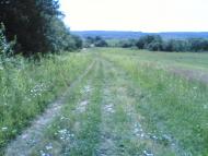 Темирівці з panoramio.com