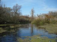 Андріївка з panoramio.com