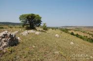 Красна Зоря з panoramio.com