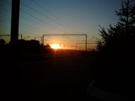 Цвіткове з panoramio.com