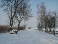 Ріпнів з panoramio.com