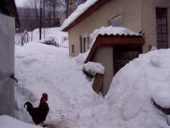 Руський Мочар з panoramio.com