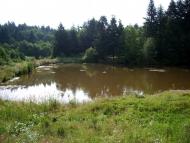 Райнова з panoramio.com