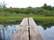 Зибин з panoramio.com