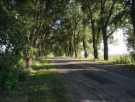 Рибчинці з panoramio.com