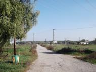 Хащеве з panoramio.com