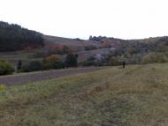 Подусів з panoramio.com