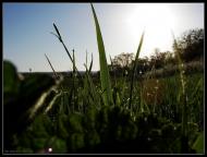 Геївка з panoramio.com